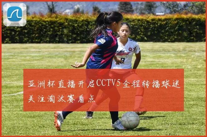 亚洲杯直播开启CCTV5全程转播球迷关注淘汰赛看点