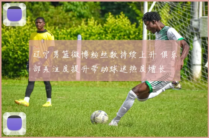 辽宁男篮微博粉丝数持续上升 俱乐部关注度提升带动球迷热度增长