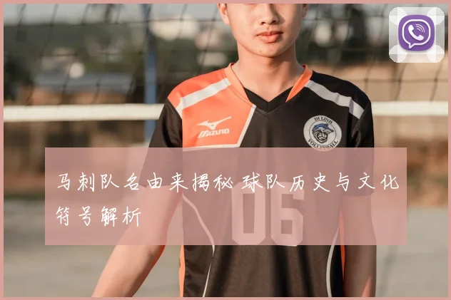 马刺队名由来揭秘 球队历史与文化符号解析